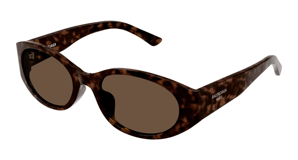 HAVANA / BROWN