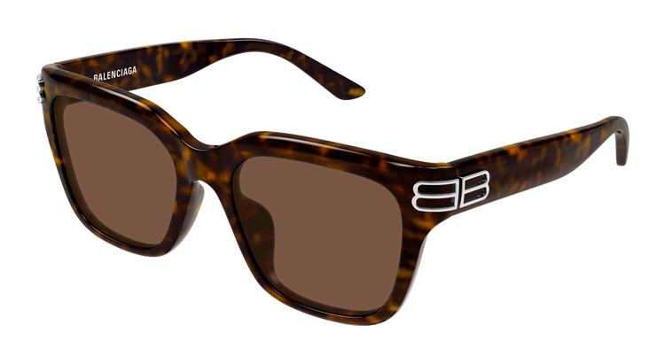 HAVANA / BROWN