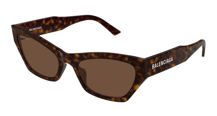 HAVANA / BROWN