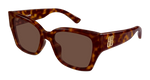 HAVANA / BROWN