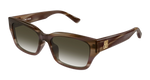 BROWN / BROWN