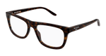 HAVANA / TRANSPARENT