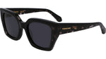 004 - BLACK/BLACK TORTOISE