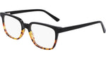 006 - BLACK TORTOISE
