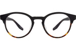Ebony Tortoise / Demo