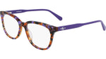 501 - PURPLE TORTOISE / 