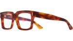 010 - HONEY TURTLE HAVANA