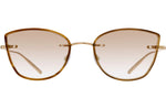 Gold / Umber Tortoise / Chai (AR)