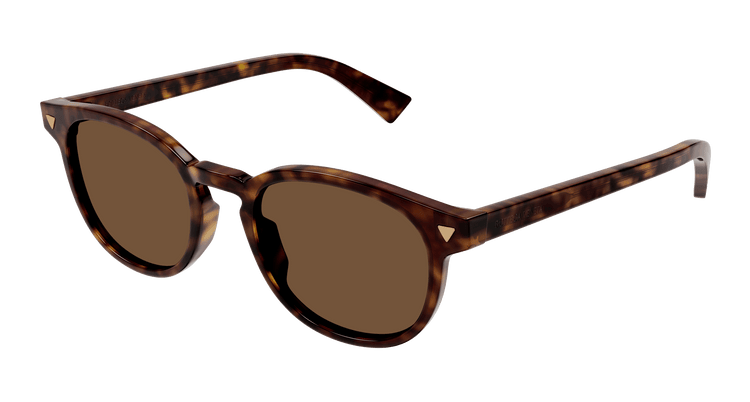 HAVANA / BROWN
