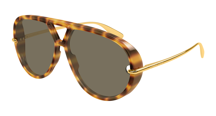 HAVANA / GOLD / BROWN