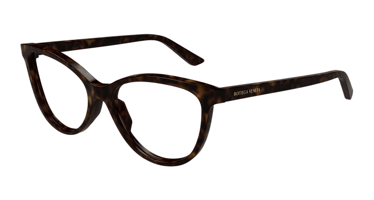 HAVANA / TRANSPARENT