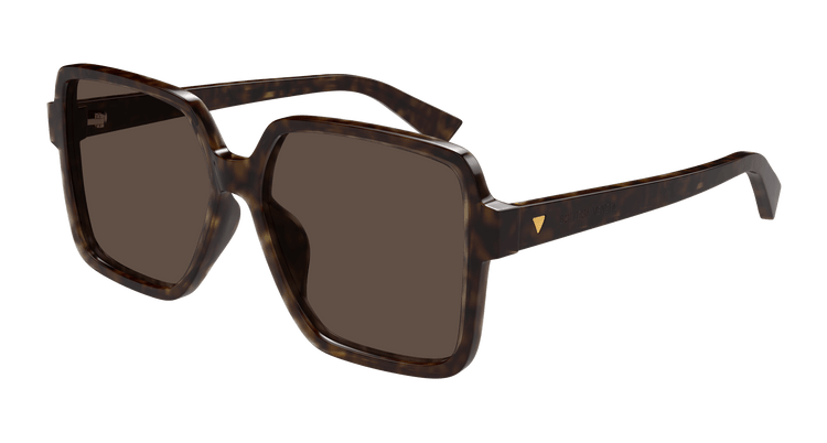 HAVANA / BROWN