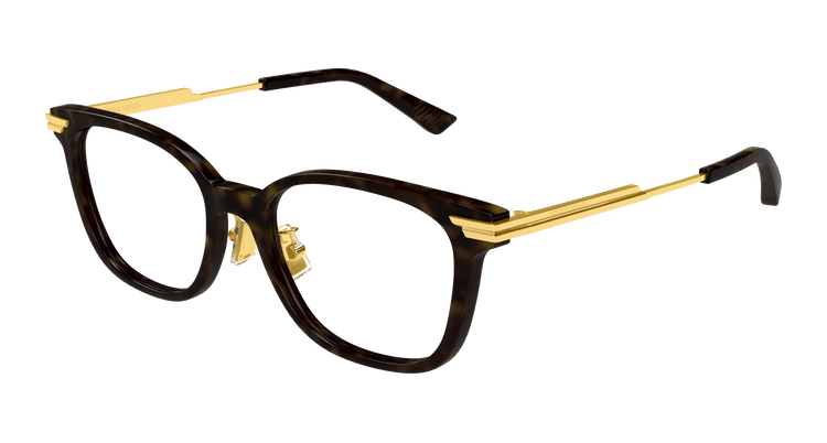 HAVANA / GOLD / TRANSPARENT