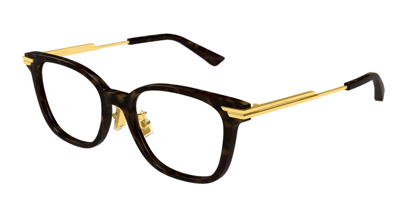 HAVANA / GOLD / TRANSPARENT