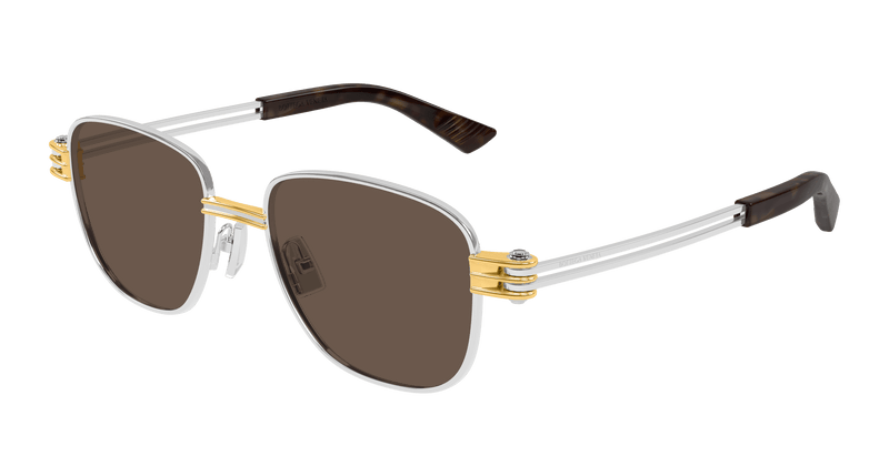SILVER / BROWN