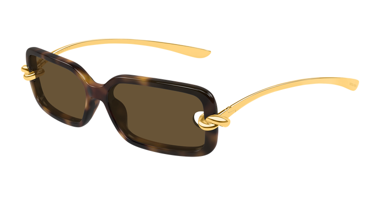 HAVANA / GOLD / BROWN