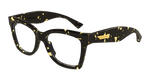 HAVANA / TRANSPARENT