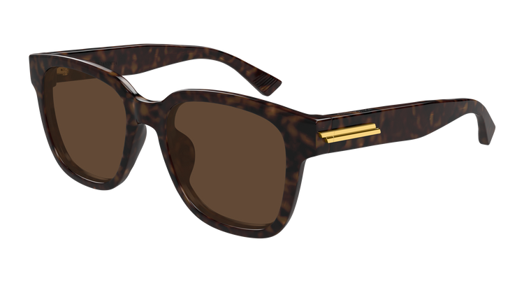 HAVANA / BROWN