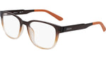 207 - BROWN GRADIENT / 