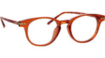 014 - AMBER/AMBERT-SHELL/LIGHT GOLD