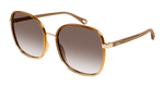 BROWN / BROWN