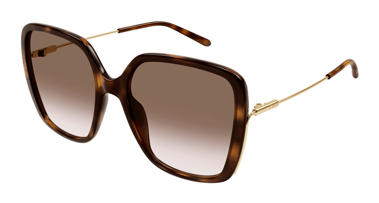 HAVANA / GOLD / BROWN