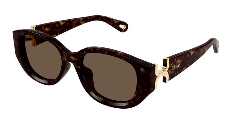 HAVANA / BROWN