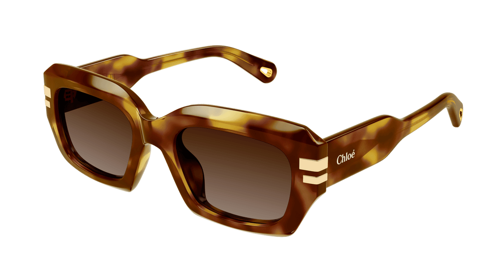 HAVANA / BROWN
