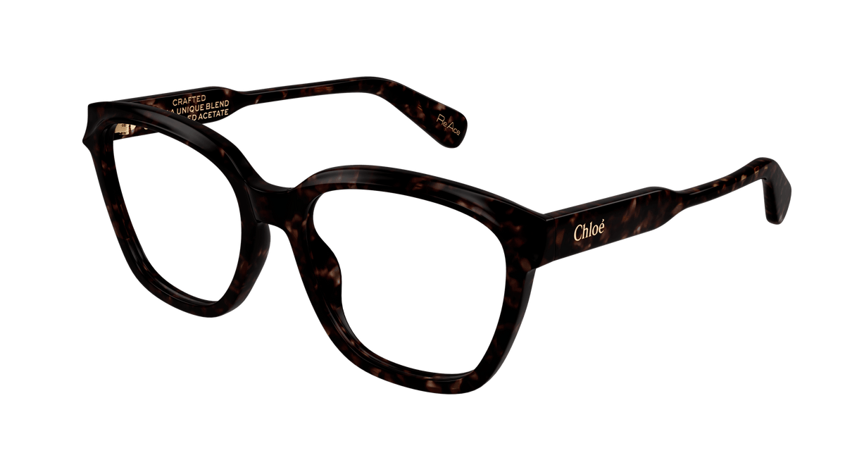 HAVANA / TRANSPARENT