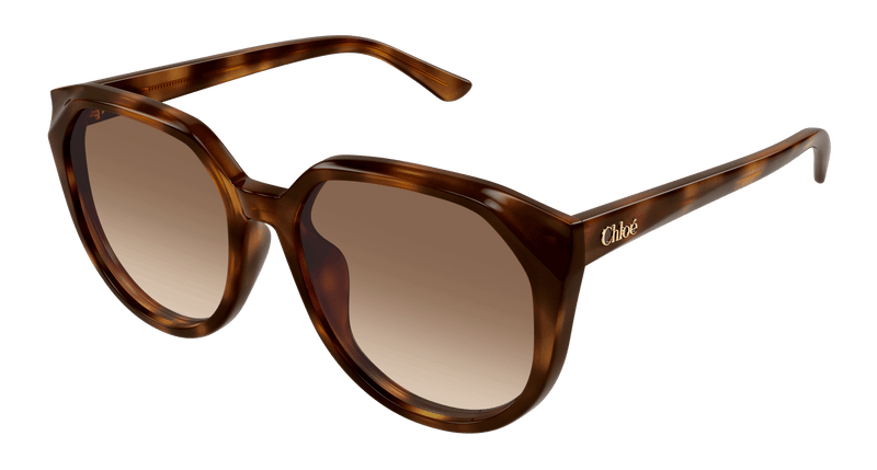 HAVANA / BROWN