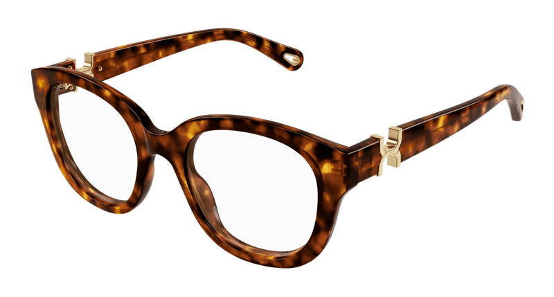 HAVANA / TRANSPARENT
