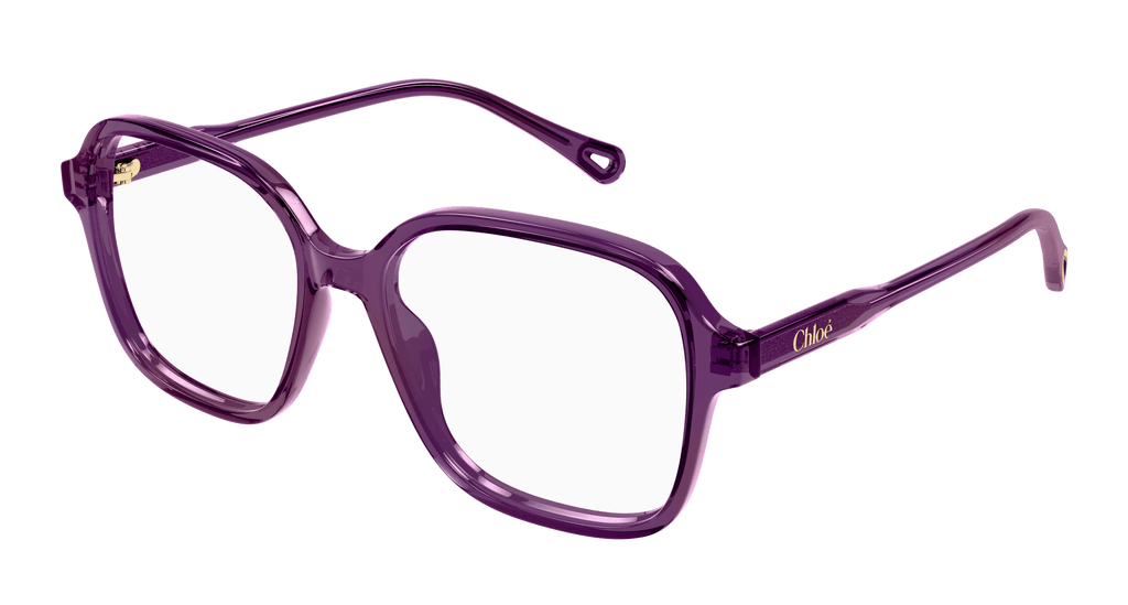 BURGUNDY / TRANSPARENT