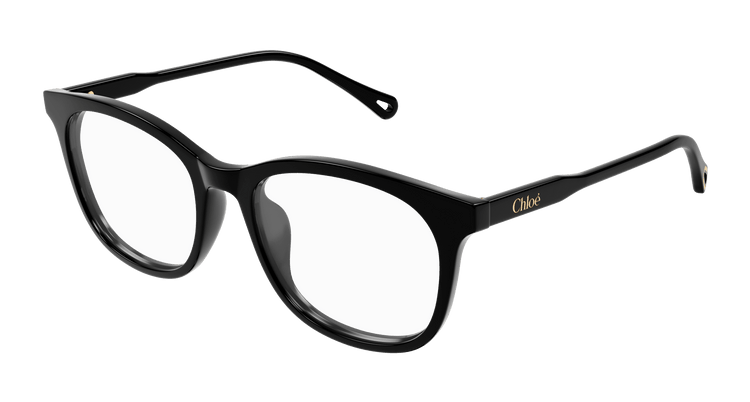 BLACK / TRANSPARENT