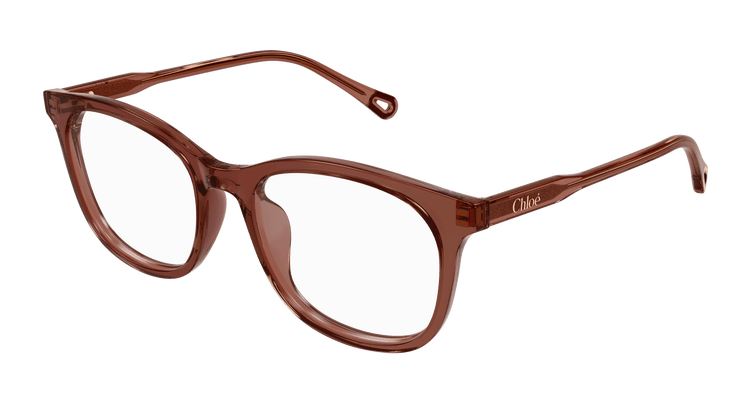 BROWN / TRANSPARENT