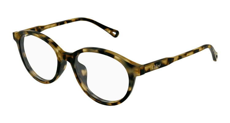 HAVANA / TRANSPARENT