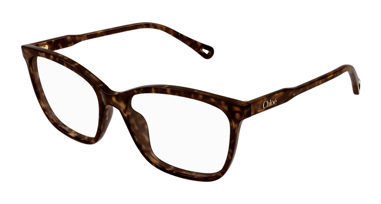 HAVANA / TRANSPARENT