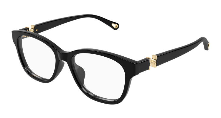 BLACK / TRANSPARENT