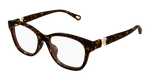 HAVANA / TRANSPARENT