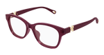 BURGUNDY / RED / TRANSPARENT