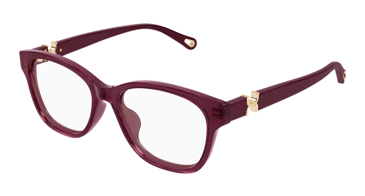 BURGUNDY / RED / TRANSPARENT