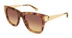 HAVANA / GOLD / BROWN