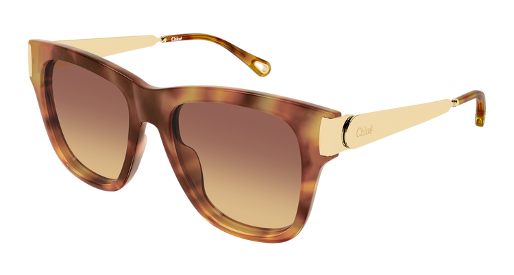 HAVANA / GOLD / BROWN