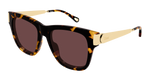 HAVANA / GOLD / VIOLET