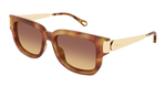 HAVANA / GOLD / BROWN