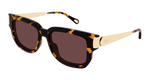 HAVANA / GOLD / VIOLET