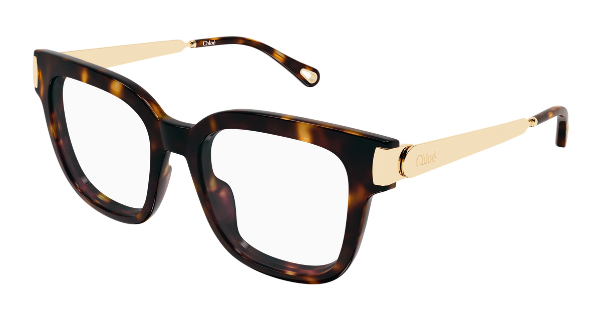 HAVANA / GOLD / TRANSPARENT