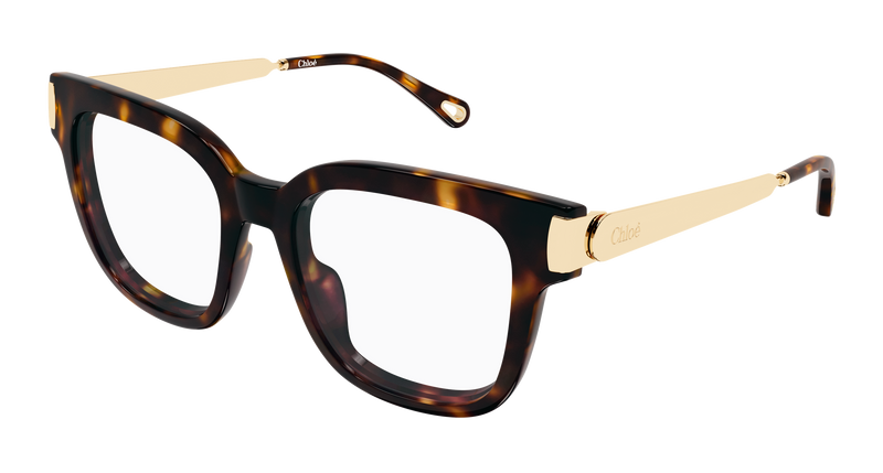 HAVANA / GOLD / TRANSPARENT