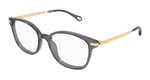GREY / GOLD / TRANSPARENT