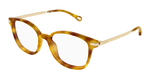 HAVANA / GOLD / TRANSPARENT