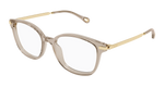 BROWN / GOLD / TRANSPARENT